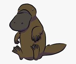 Beaver Clipart Png Download Platypus Clipart Png Transparent Png Transparent Png Image Pngitem Download the platypus png on freepngimg for free. platypus clipart png transparent png