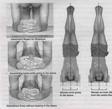 Wordpress Com Iyengar Yoga Yoga Poses Advanced Yoga