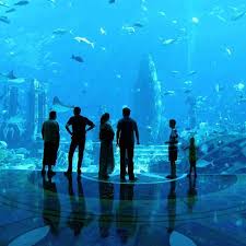 Bahkan, banyak orang yang menggunakan gambar pemandangan sebagai wallpaper pada laptop atau smartphone untuk menenangkan pikiran di. Liburan Di 5 Taman Hiburan Dengan Pemandangan Tercantik Di Dunia Womantalk