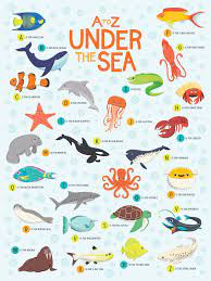 Sea Creatures Poster Png By Ariel Tyndell Alphabet Poster Sea Creatures Drawing Under The Sea Drawings