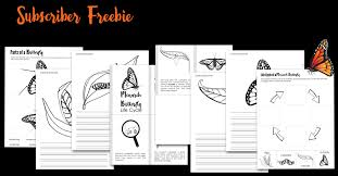 Monarch, butterfly, insect, life cycle, metamorphosis Monarch Butterfly Life Cycle Printables