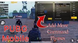 Pubg Mobile How To Add More Command Phrases To Quick Chat Voice Bring Up Voice Chat Youtube