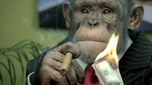 Bildergebnis für monkey money