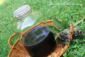 Visualizza altre idee su liquori, bevande liquori, ricette. Liquore Alle Bacche Di Sambuco Grembiule Da Cucina