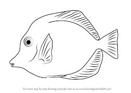 Black And White Striped Fish In The Gulf Of Mexico Yellow Tang Fish Drawings Tang Fish Drawings