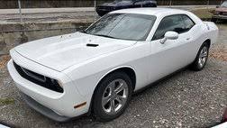 Image result for Bright White 2014 Challenger
