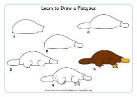 Learn To Draw A Platypus Australia Animals Learn To Draw Platypus