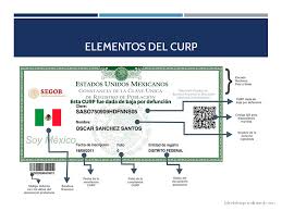 De hecho el hecho de mantener siempre actualizado el curp le permitirá a cualquier ciudadano residente en méxico tener una mayor facilidad a la hora de realizar cualquier tipo de trámite en las dependencias de la apf (administración pública federal). Como Sacar Mi Curp Por Internet Lider Del Emprendimiento