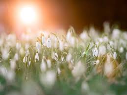 Cute Life Quotes 37 Sweet Thoughts About Life To Brighten Your Day The Mindful Word