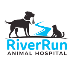 I gave birth to my son at queen charlotte's & chelsea birth centre and could not have hoped for more professional or compassionate care. Veterinarian Charlotte Fort Mill River Run Animal Hospital Veterinarian In Charlotte Nc Veterinarian Charlotte Fort Mill
