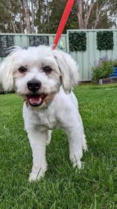 Lucy has some news……Lucy is now Lucy Hammond and she has a new big sister  called Opal. Congratulations to the Hammond Family