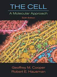 Buy The Cell A Molecular Approach Book Online At Low Prices In India The Cell A Molecular Approach Reviews Ratings Amazon In