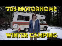 Image result for Dark Chamois 1981 Motor Home