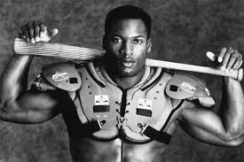 Bo jackson's elite sports is renowned as one of the leading indoor sports training centers in the country. Bo Jackson Society For American Baseball Research
