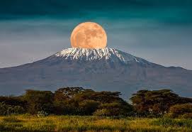 Mt.Kilimanjaro