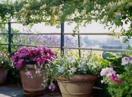 Find out when to grow cannabis outside in california. 10 Common Container Gardening Mistakes