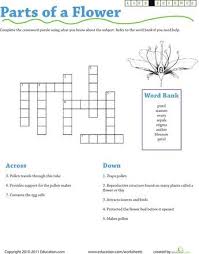 Life Science Crossword Parts Of A Flower Worksheet Education Com Parts Of A Flower Flower Science Science Puzzles
