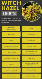 Witch hazel's ability to reduce inflammation and tighten skin also lends to its ability to act as a natural remedy to treat discoloration and puffiness around the including witch hazel in your cleanser can help keep your skin clear and smooth without drying it out. Dr Axe Says Witch Hazel Healingstrong Headquarters Facebook
