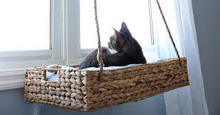Thanks to the cat window box, or as some may know it, the cat patio, you can let your cat explore and be safe at the same time. Cat Window Perch Diy Your Cat Will Love This Hymns And Verses