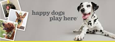 Pats & hugs for your pets! Wagging Tails Pet Resort Home Facebook