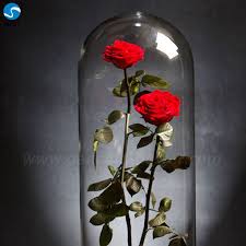 Iridized glass is a very special glass with a metallic coating that shimmers and shines and can produce different colors in different lighting situations. Time To Source Smarter Eternal Flower Glass Glass Vase