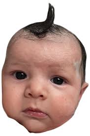 Carey Morgan (@careymorgann) • Instagram photos and videos