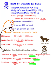 death by mathspig blog