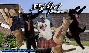 We hope you enjoy our growing collection of hd images to use as a. Kdrama Kitties Dream High
