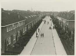 1920 1930 groningen identieke tuintjes aan de kamperfoeliestraat oosterpark groningen nederland stad