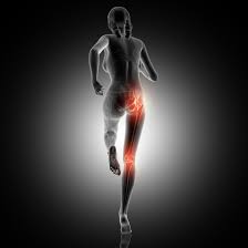 Muscles in your hip area. Gluteus Medius The Answer To Your Hip Pain Equilibrium Sports And Spinal Clinic