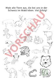 Waldtiere malvorlagen tiere ausmalbild waldtiere. Arbeitsblatt Waldtiere Ausmalbild Biologie Tiere