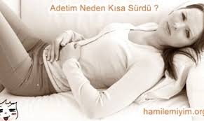 hamilelikte 8 hafta 8 haftalik hamilelik donemi hastalik tedavisi wiki kadinlar kulubu