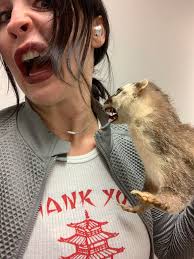 Taxidermy anyone? Found this gem last summer 😂