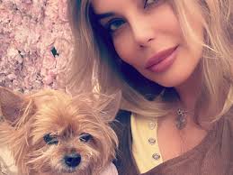 Fundraiser by Kathy Karimi : Scooter's medical expenses for partial  paralysis