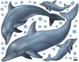 See more ideas about sea kids room, kids room, nursery. Create A Mural Dolphin Wall Decals Under The Sea Ocean Kids Room Decor Stickers Removable Peel And Stick Art Buy Online In Botswana At Botswana Desertcart Com Productid 11436627