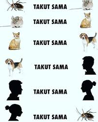  29 Ide Ig Meme Instagram Mesin Uap