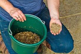 High k and nonstructural carb levels if it has molasses increased risk of choke and nutrient imbalances when fed in large. Is Sugar Beet Pulp Too High In Sugar For Horses The Horse