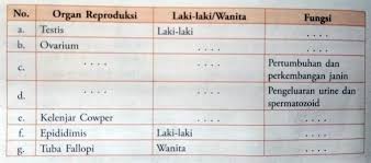 Lengkapilah tabel tentang aturan hemat energi di rumah. Lengkapi Tabel Berikut Blog Pak Pandani