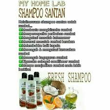 Shampoo an 100% homemade free pareben untuk mengatasi masalah rambut.keguguran ,kelemumur dan sebagainya Welcome To Secantik4u Shampoo Santan My Home Lab 2017