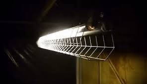 Created with pictures to gif maker. Nosferatu Flickering Lights Page 1 Line 17qq Com