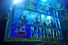 Discover malaysia's thriving marine life at the aquaria kuala lumpur city center, just a ten minute walk away from the famed petronas twin towers. Aquaria Klcc Tickets Price 2021 Online Discounts Promo