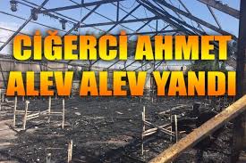 Cigerci Ahmet Alev Alev Yandi Eskisehir Haber Son Dakika Eskisehir Haberleri
