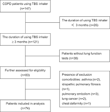 Copd inhalers types hirup q. Technical Evaluation Of Soft Mist Inhaler Use In Patients With Chronic Copd