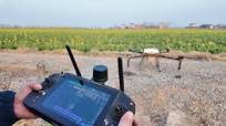 Topxgun FP700 Agricultural Drone | FP300E Agricultural Drone | Rapeseed fields Spraying Operation