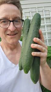 No harvest for weeks and then... all of a sudden: Everything is ready at  once!! Am I right???