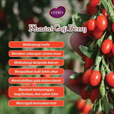 Siapa tahu apa itu goji berry? Khasiat Goji Berry Juga Sama Efferty Ipoh Id Eft 00410 Facebook