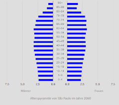 Wählen sie aus einer vielzahl ähnlicher szenen aus. Https Www Vwi Org Wp Content Uploads 2018 11 Studie Urbane Mobilit C3 A4t In Brasilien Pdf