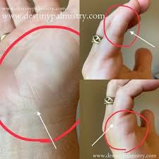 They are upright lines situating under the base of the little finger. Palm Line Reading How To Predict Your Money Knowinsiders