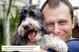 Animais de estimação também enfrentam desafios durante a pandemia -