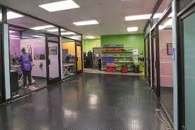 The royal palace is home to a bunch of adorable pets. Pet Grooming Salon Lucky Dawg Salon Grooming In California